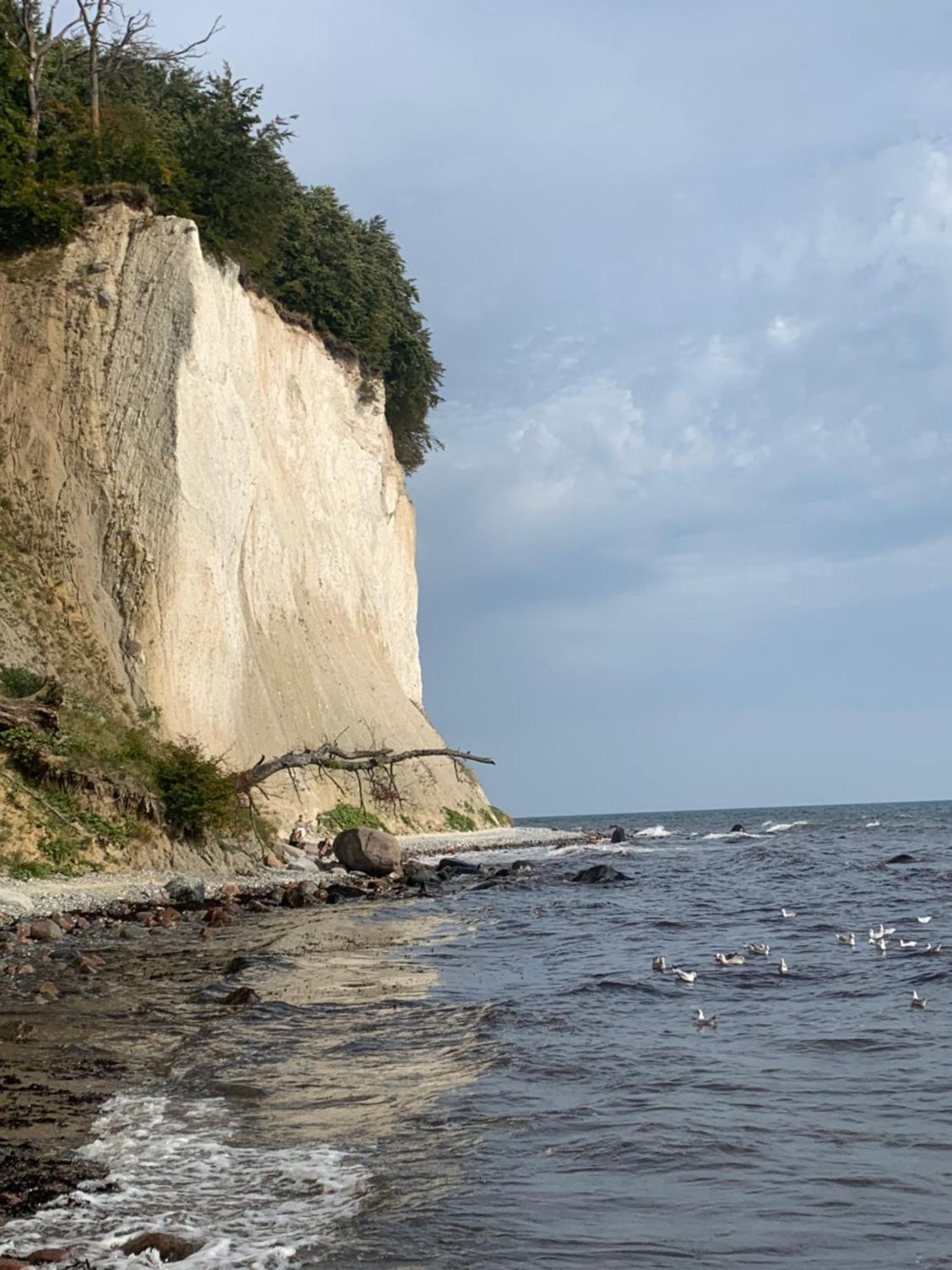 Wiek auf Rügen Ahoiヴィラ エクステリア 写真