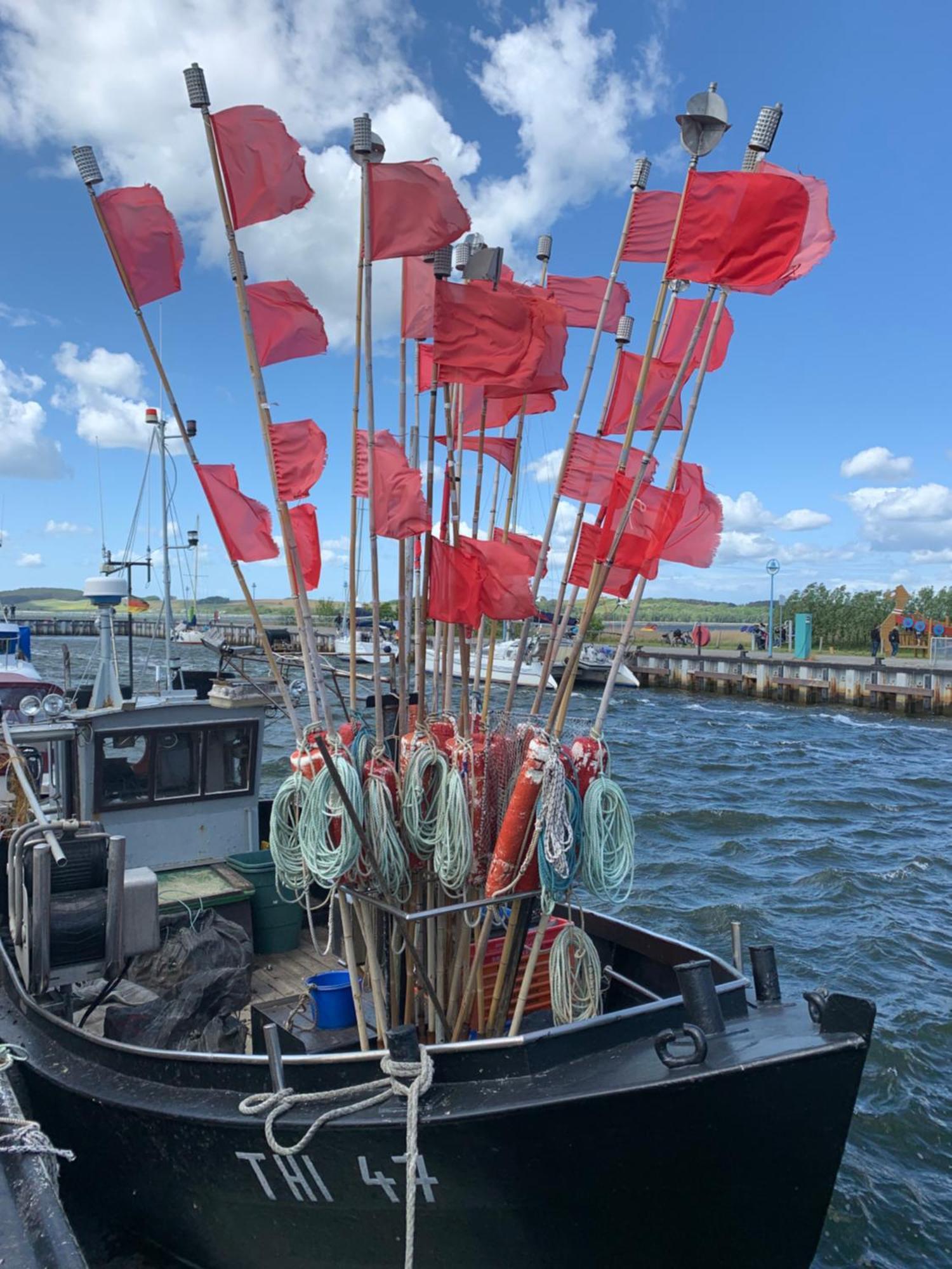 Wiek auf Rügen Ahoiヴィラ エクステリア 写真